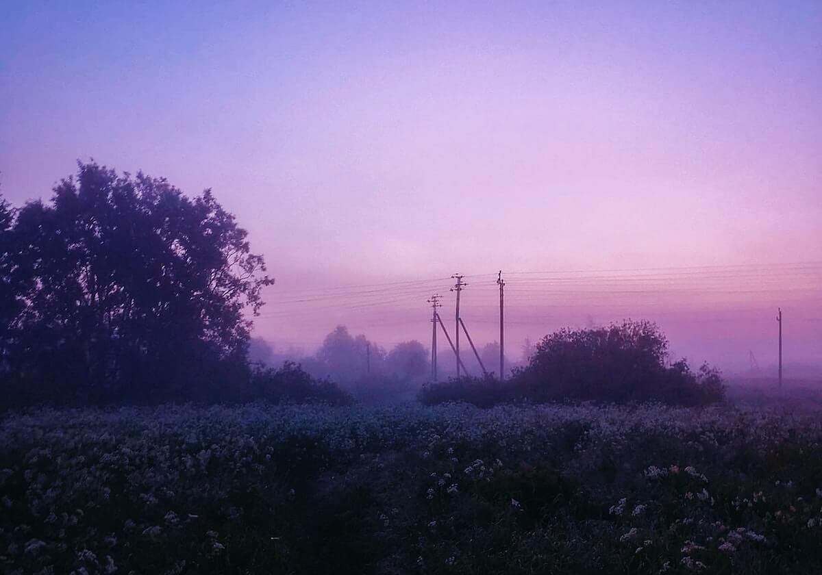 米乐官网：开启梦想与便捷的全新入口